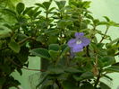 DSCN3121