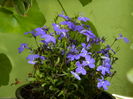 DSCN3123