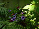 DSCN3127