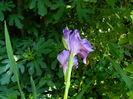 DSCN3137