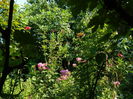 DSCN3144