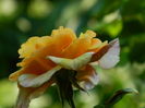 DSCN3147