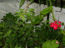 DSCN3152