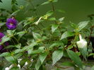 DSCN3157