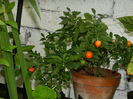 DSCN3160