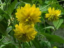 DSCN3166