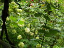 DSCN3169