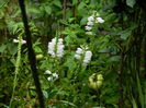 DSCN3179