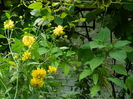 DSCN3180