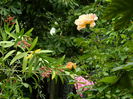 DSCN3182