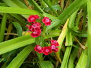 DSCN3188
