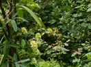 DSCN3197