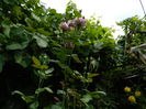 DSCN3198