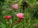 DSCN3205