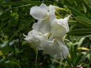 DSCN3211