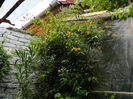 DSCN3230
