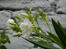 DSCN3234