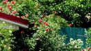 DSC02792