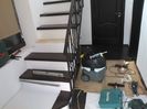 WP_003296