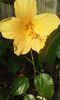 20150719_082449