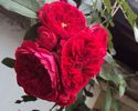 DSC03465