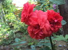 DSC03573