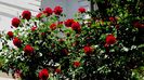 DSC02849