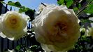 DSC02860