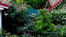 DSC02938