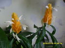 SAM_0645