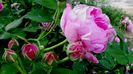 DSC02961