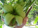 SAM_0647