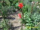 SAM_0648