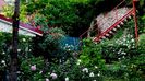 DSC03018