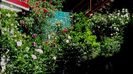 DSC03021