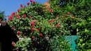 DSC03023