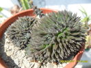 SAM_0671