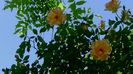 DSC03047