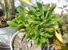 SAM_0672