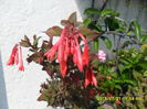 SAM_0673