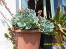 SAM_0675