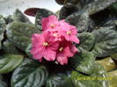 SAM_0680