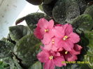 SAM_0681