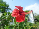 SAM_0689