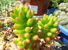 SAM_0697