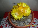 SAM_0649
