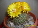 SAM_0650