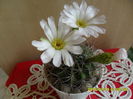 SAM_0654