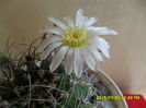 SAM_0662