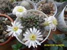 SAM_0682